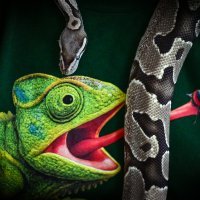 Posjetili smo Animal Caffe u Zagrebu