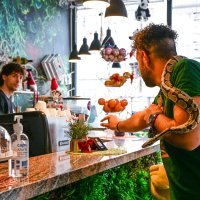 Posjetili smo Animal Caffe u Zagrebu