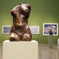 Predstavljanje izložbe 'Zbirka Roglić'   (5)