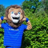 Proslava 115. rođendana GNK Dinamo uz vožnju rođendanskim tramvajem