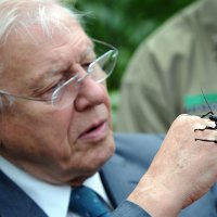 David Attenborough