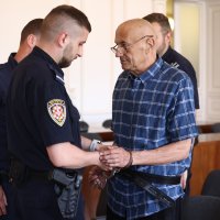Presuda Željku Travici