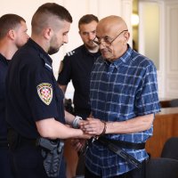 Presuda Željku Travici