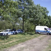 Trnjanski kresovi na Savskom nasipu u Zagrebu