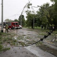 Zagreb: Palo stablo na Maksimirskoj, blokiran promet, vatrogasci na terenu