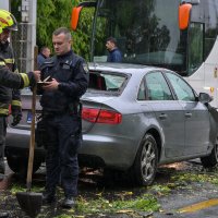 Zagreb: Palo stablo na Maksimirskoj, blokiran promet, vatrogasci na terenu