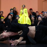 Baletna predstava 'Fridin svijet'