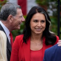 Tulsi Gabbard