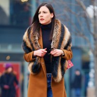 Zagrebačka špica (1)