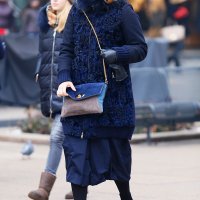 Zagrebačka špica (3)