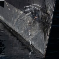 Katamaran 'Krilo Eclipse'