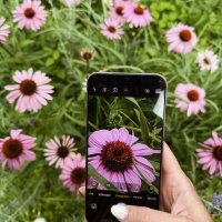 Xiaomi 17T i 17T Pro