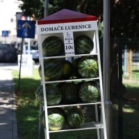 Lubenicomat u Osijeku