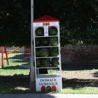 Lubenicomat u Osijeku