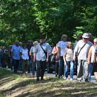 Obilježavanje Dana antifašističke borbe u Spomen-parku Brezovica kod Siska