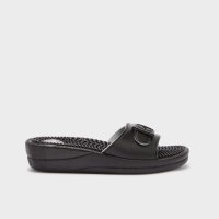 Scholl