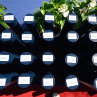 Zagreb: Svečana promocija polaznika vojnih škola