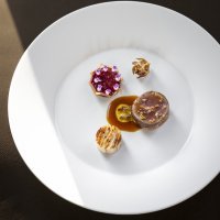 Venison_©_kris_vlegels