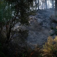 Požari u Španjolskoj