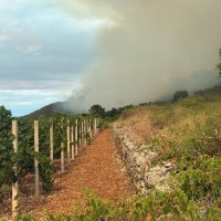 Požari na Korčuli