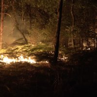 Požar kod Pariza
