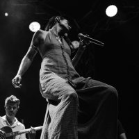 Thievery Corporation
