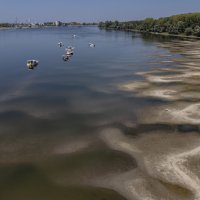 Nizak vodostaj Dunava kod Vukovara