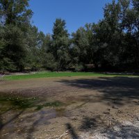 Zagreb: Malo jezero na Bundeku gotovo je potpuno presušilo