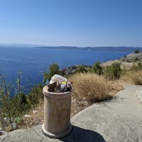 Vruja u smeću