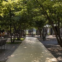 Werft_Garden_Brewery_fotografije_JŽ_123