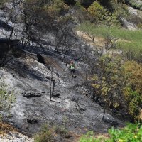 Požar na Braču (Pučišća)