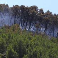 Požar na Braču (Pučišća)