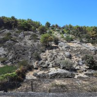 Požar na Braču (Pučišća)