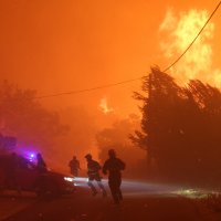 Požar kod Omiša: Zatvorena magistrala,gore automobili i brodovi