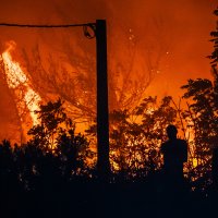 Katastrofalni požar u mjestu Medićima