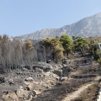 Posljedice požara u mjestu Lokva Rogoznica