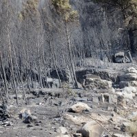 Posljedice požara u mjestu Lokva Rogoznica