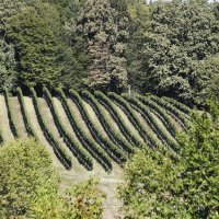 Tportal periferija i centar Zagreba - Havidić selo