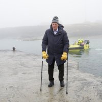 Kralj Harald