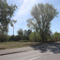 Prosvjednici na Borovju