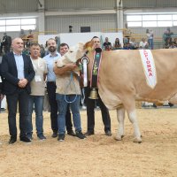 Krava Monika proglašena šampionkom Jesenskog sajma