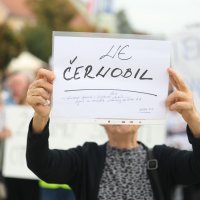 Prosvjed u Našicama