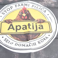 Prosvjed u Ludbregu protiv izgradnje megafarme pilića