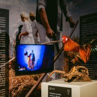 Muzej Grada Đurđevca uz EU sredstva provodi projekt 'Baština i kreativa'