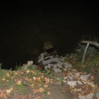 Lokacija kod Severina na Kupi na kojoj su se utopili migranti