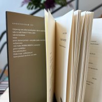 Anne Carson, Razstvaranje