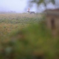 tomislav_soban-napusteni_vrtovi