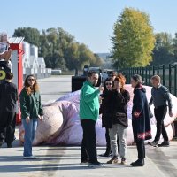 Performans ispred megafarme Veliki Pažut