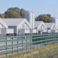 Performans ispred megafarme Veliki Pažut