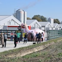 Performans ispred megafarme Veliki Pažut